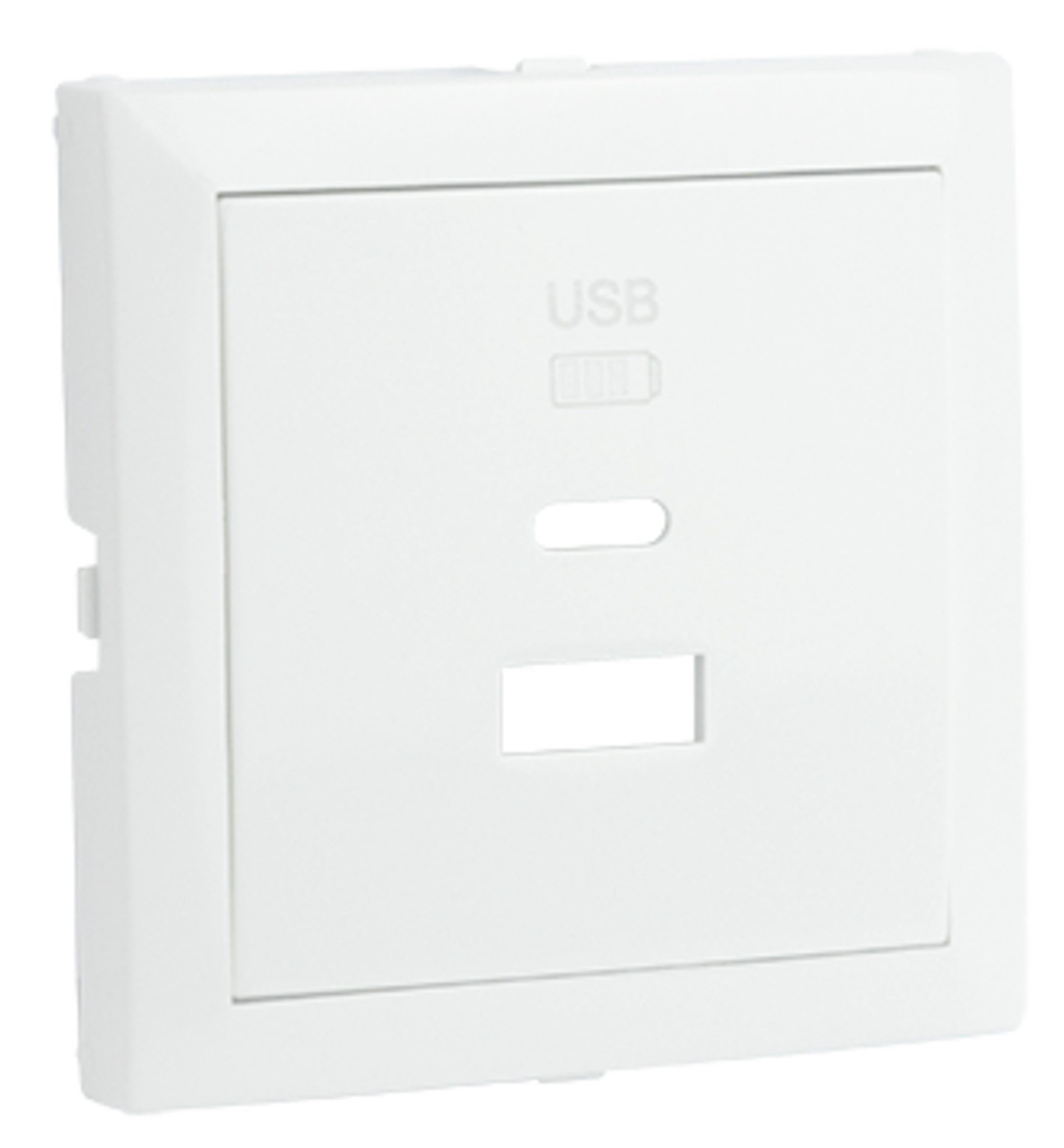 Cover Plate for USB Double Charger Type A + Type C