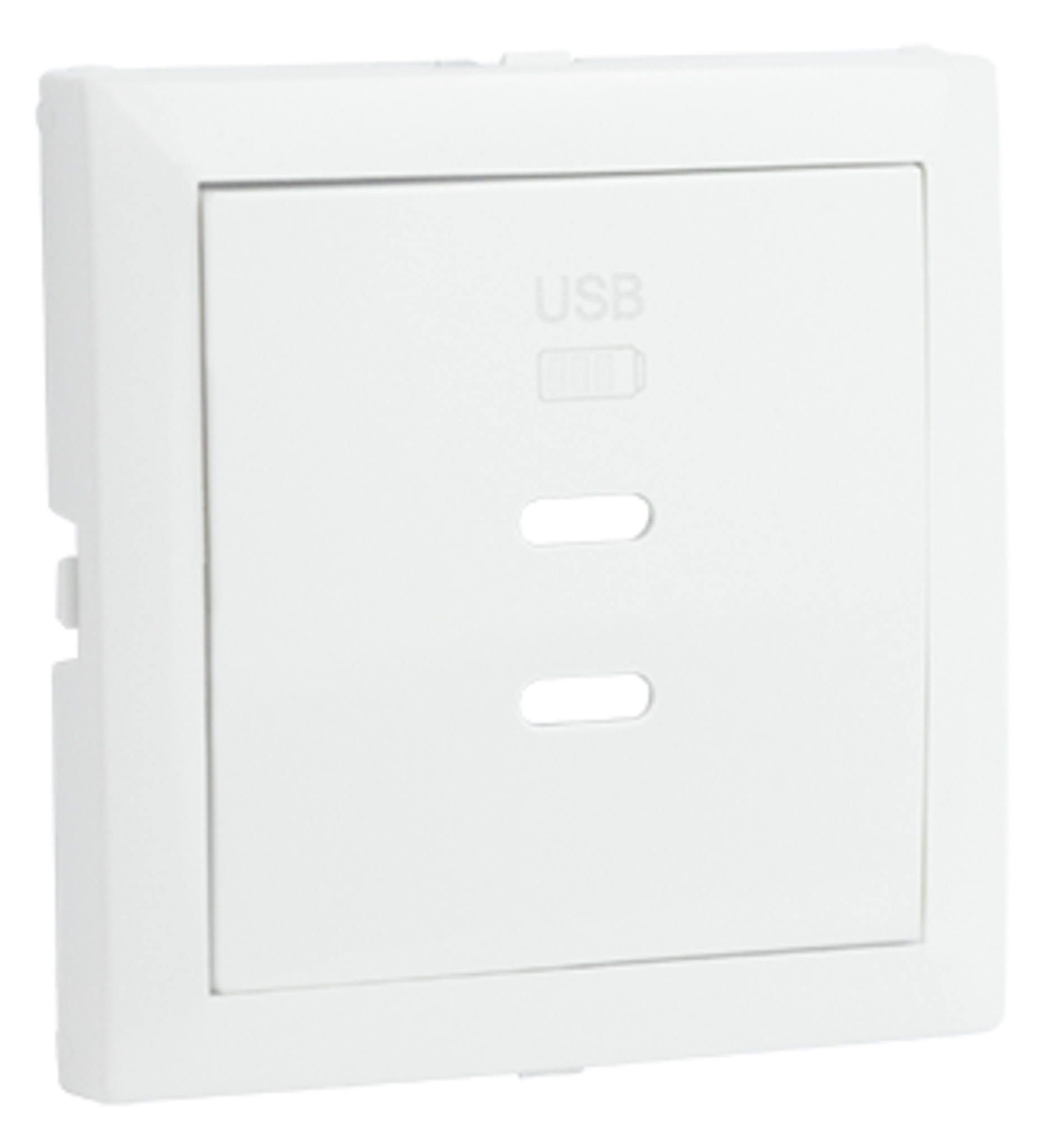 Cover Plate for USB Double Charger Type C