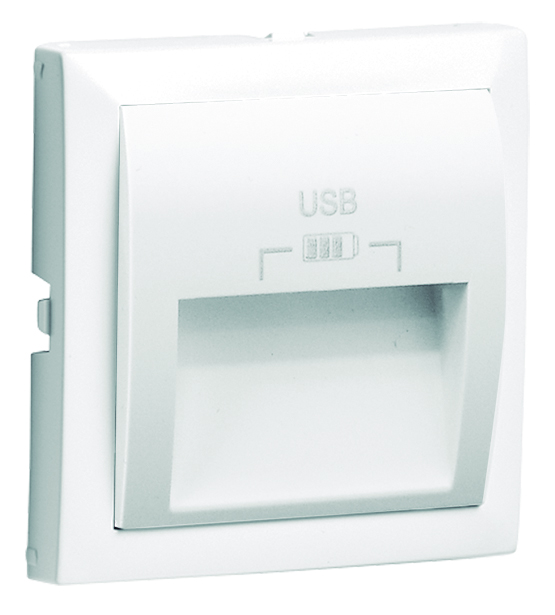 Cover Plate for Double USB Charger Type A with outlets at 20º