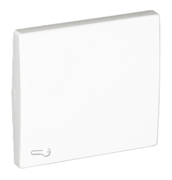 Rocker for Switches with Lock Symbol